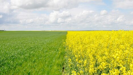 PCAET : mise à disposition d’une plateforme d’échanges et d’informations