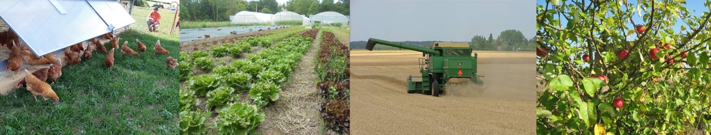 Projet alimentation de territoire